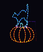 6.5CAT-PUMP-LED*