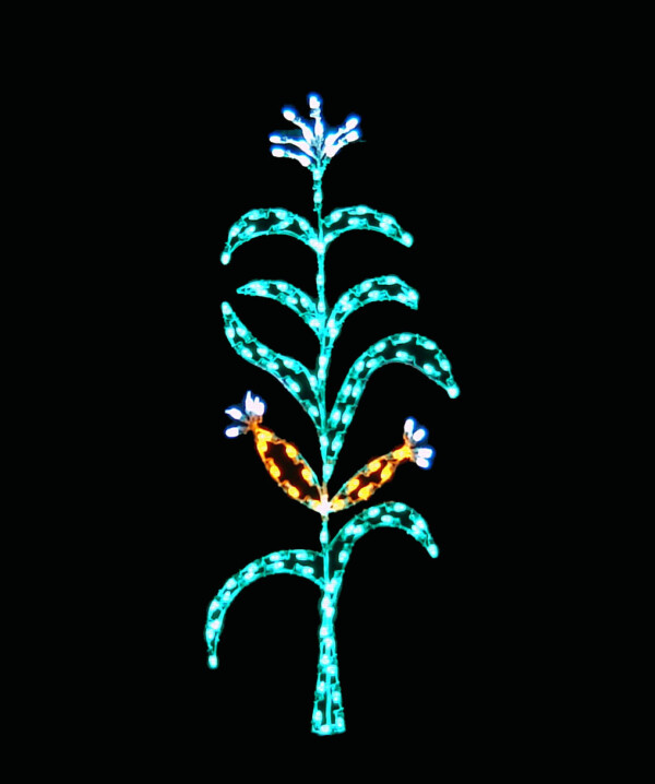 CORN6-LED*